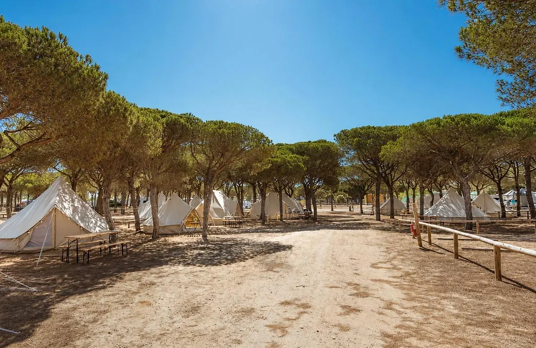 Kampaoh Doñana-1